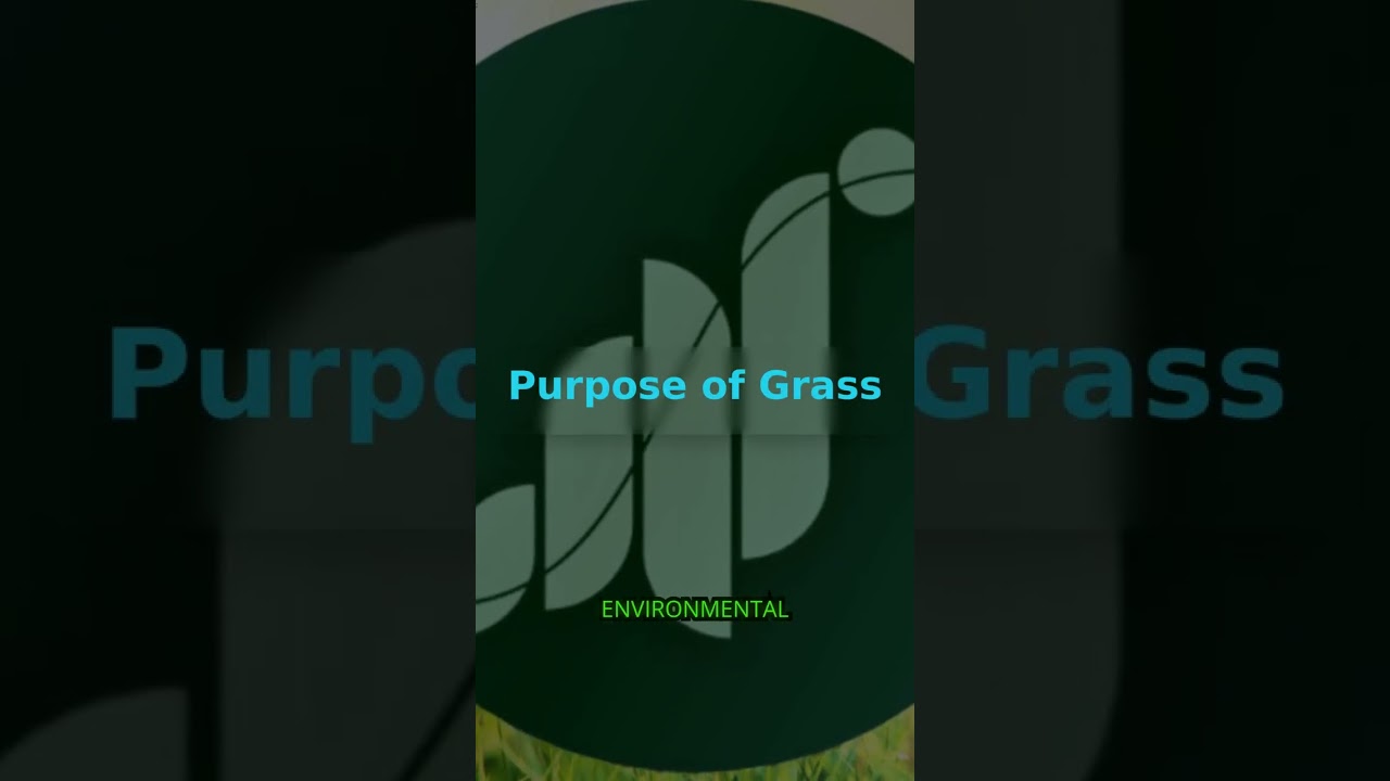 What is Grass?