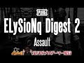 【PUBG】ELySioNq Assault Digest2