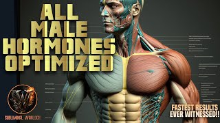 Fix and Optimize ALL Male Hormones! (Subliminal)