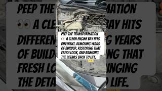 Engine Bay Reset — The Transformation Is Real #automobile #detailing #enginebay
