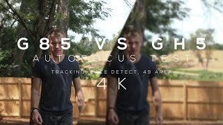 Тест автофокусировки G85 и GH5 4K || Улучшает ли GH5 автофокусировку 4K? || Олимп Про 25 f/1,2