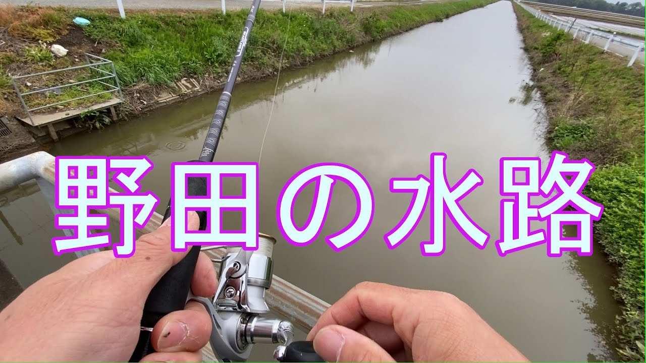バス釣り】野田の水路はワームが反応良いです - YouTube