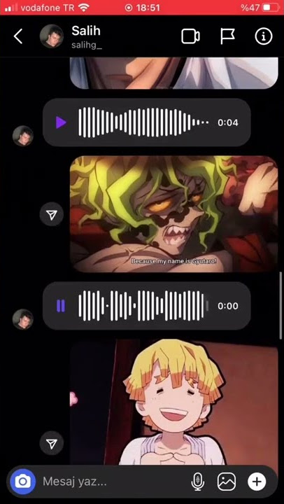 Anime Voice Impressions