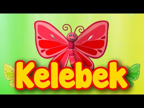 Kelebek - Cennet Kuşları Bebek | Türkçe طيور الجنة