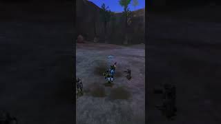 Dino Warthog #halo