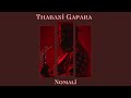 Thabani Gapara - Nomali (Official Music Video)