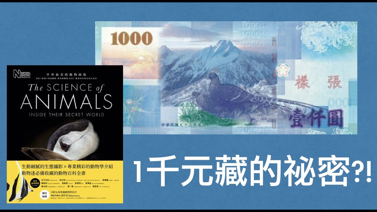 《台灣國家寶藏》千元鈔票有什麼祕密？用顯微鏡發現!   ft. La Vie圖書《世界最美的動物圖鑑》#真鈔 #辨識 #防偽