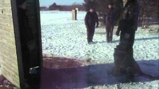 ( I.P.A) Bajlum`s Ando protection.wmv