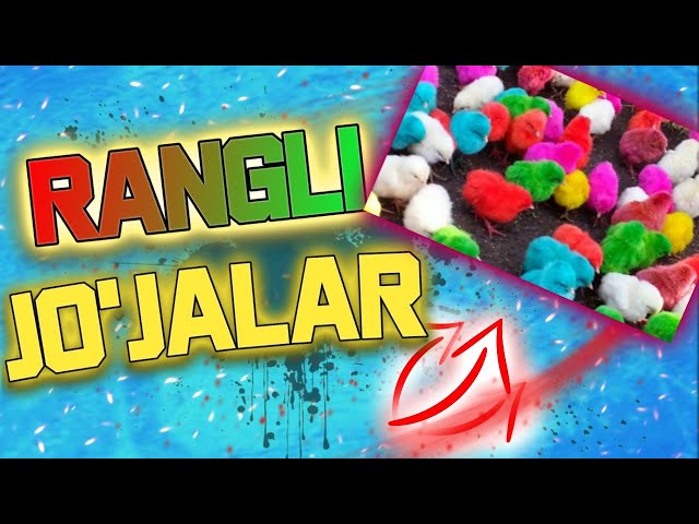 Juda chiroyli hikoyaga asoslangan porno film onlayn ichida boladi