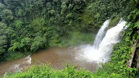 المصحف المرتل بالمقامات / سورة مريم / للقارئ احمد المضوني / بمرتبة الحدر والترتيل