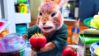 El Robo Del Refrigerador Peter Rabbit Conejo En Fuga Clip En Españo
