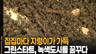 Green Start in the Low-Carbon Era: Why Are Every House Full of Earthworms | KBS 20100317 Broadcast