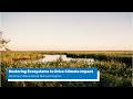 Restoring Ecosystems to Drive Climate Impact