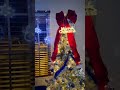Bloomwin Lighting puts you in the Christmas Spirit