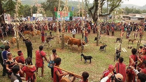 [Phim tài liệu] Lễ hội Ariêu Ping của dân tộc Pako