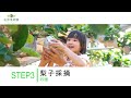 梨狩りご説明動画 繁体字字幕あり