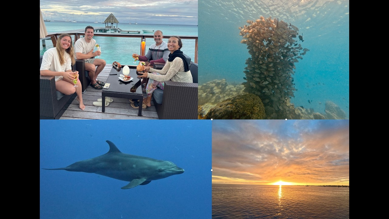 ⁣VLOG #57 Rangiroa part 2