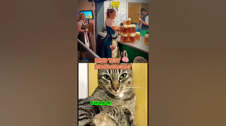 #cat #guess #fdccompany