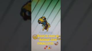 I FINALLY HAVE AN OTTER IN ANIMAL JAM!!!!
