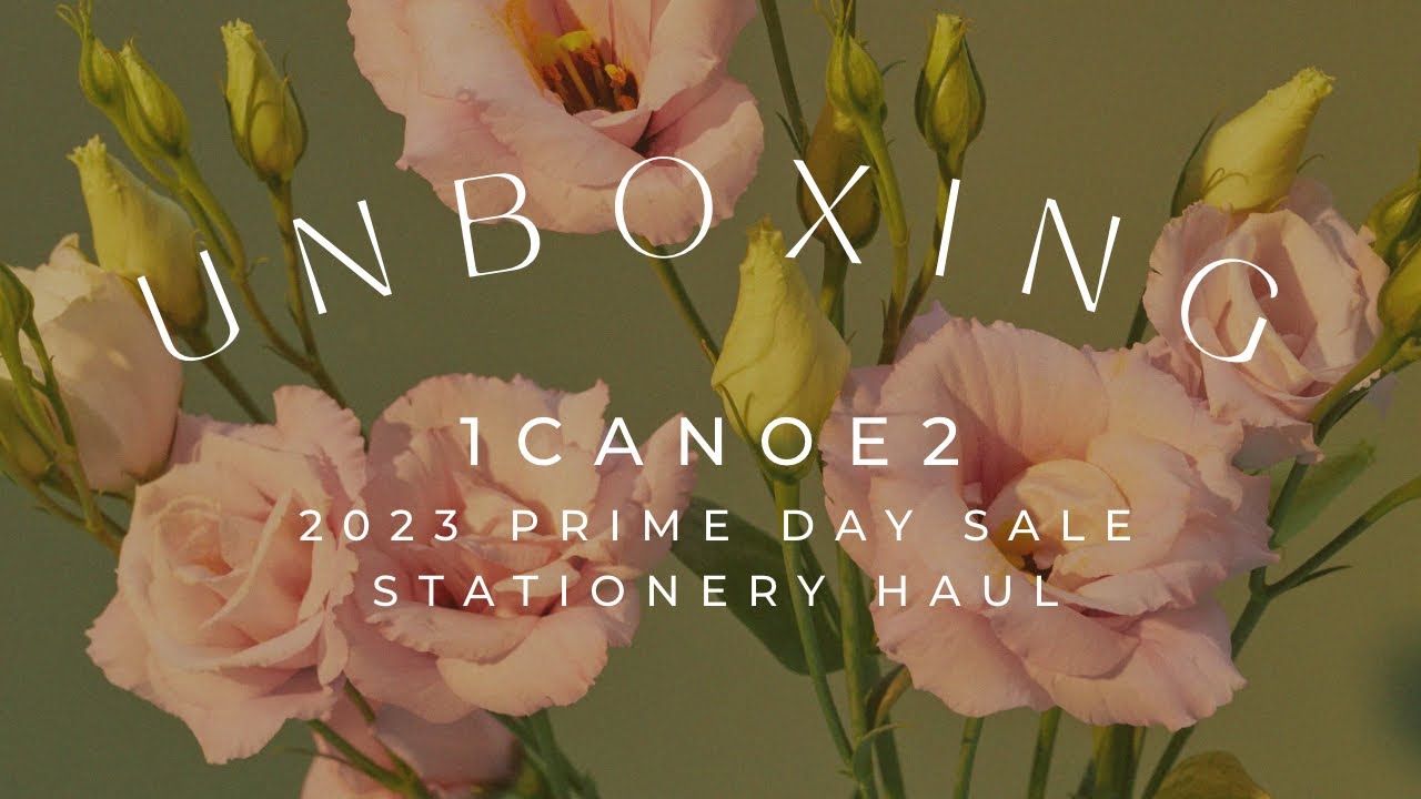 UNBOXING: 1canoe2 Prime Day 2023 Stationery Haul - Notebooks/Journals