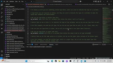 Python Papi / Smart Contracts - Moccasin Fundamentals setup - Day 2