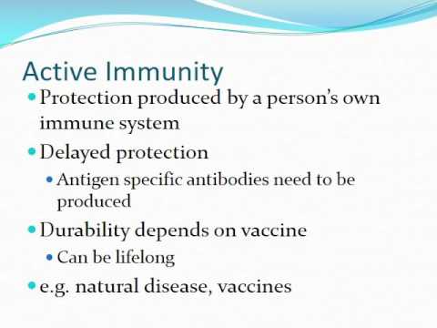 Section 4 Unit 4 - Immunizations