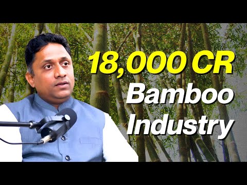 Earn Lakhs from India’s ₹18,000 Crore Bamboo Industry - video from MoneyMint