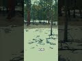 Filming Epic Spots  Trees, Joints, and Creative Vibes!