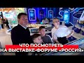 «Семиметровая скульптура Енисея, сгенерированная нейросетью»: что посмотреть на выставке «Россия»