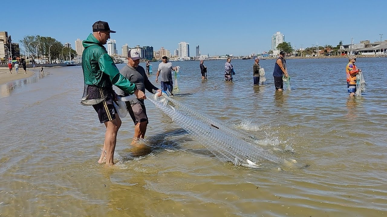 Pescas de tarrafas, 26-12-24, Barra de Tramandaí, RS. Cardume de pinguelas! #pescadetarrafa #fishing