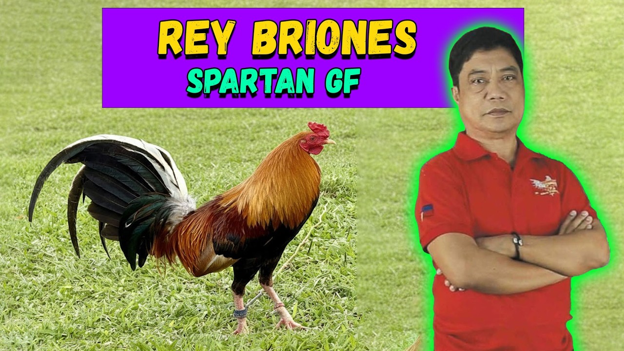 Bakbakan Na! Rey Briones