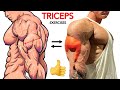 تمارين التي تجعل عضلة الترايسبس واسعة - Triceps Workout