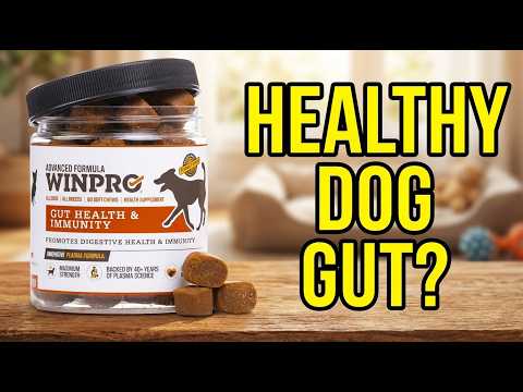 Video thumbnail: WINPRO Dog Gut Health Supplement Review: Does the Plasma Formula Actually Work?