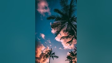 سورة القلم راحه و هدوء و سكينة القارئ محمد ربيع