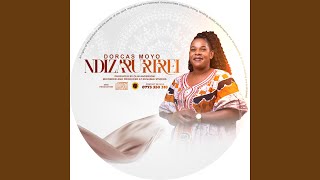 Ndizarurirei