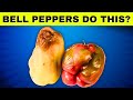Are bell peppers good for you science says this