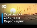 "Візерунок дня": "Олешківські піски": унікальна пустеля у серці України (19.10.2018) | DW Ukrainian