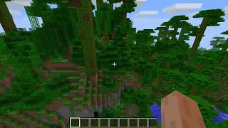 Minecraft Seed Highlight Lexi Diamond sunday Show