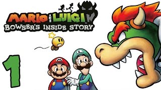 Bowser's Inside Story