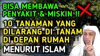 HATI-HATI !! INILAH 10 TANAMAN YANG DILARANG DITANAM DIDEPAN RUMAH MENURUT ISLAM