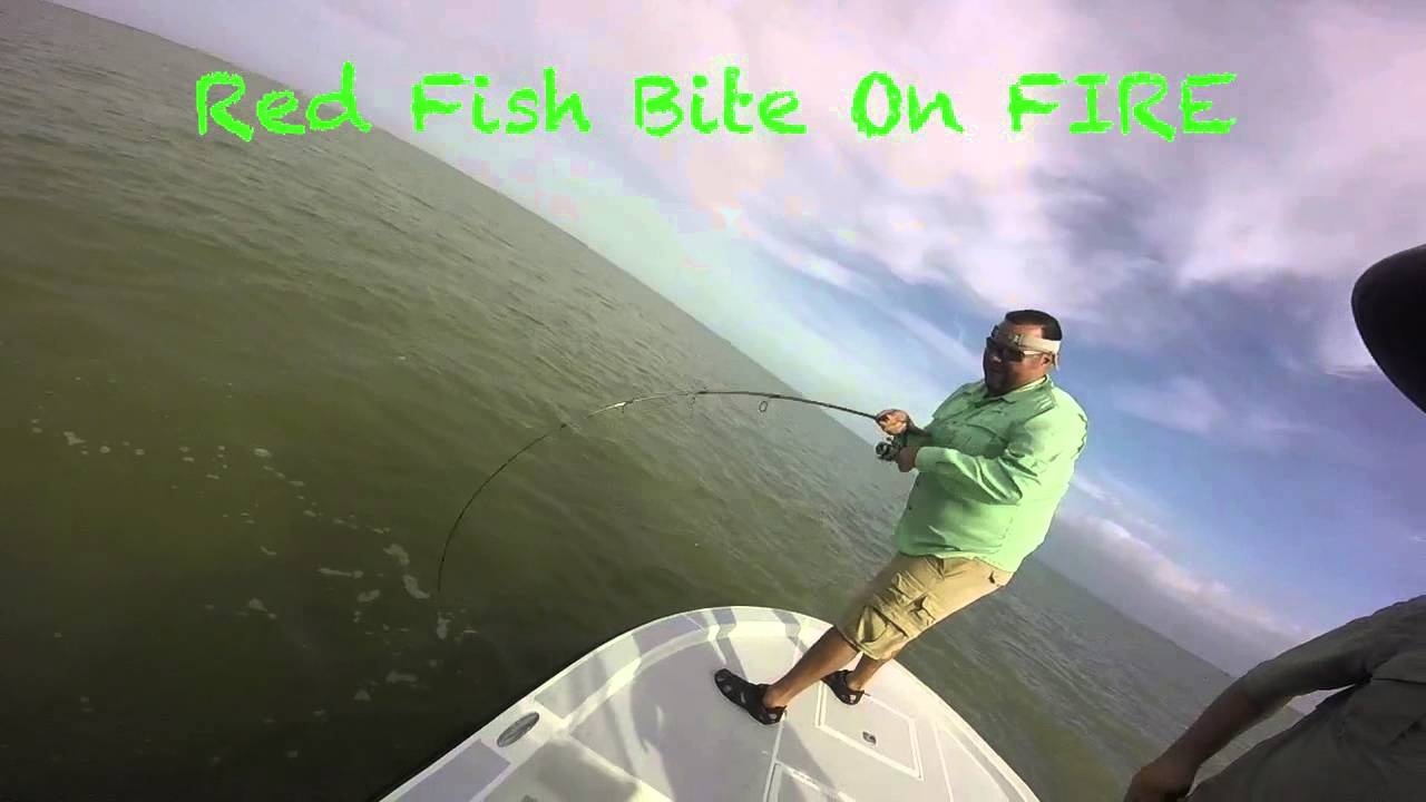 Big Red Drum,Spotted Sea Trout and a Flounder(South Padre Island) YouTube