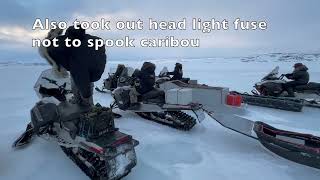 Successful caribou hunting adventure