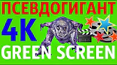 Творческое Объединение "СВОБОДА" (ТОС)