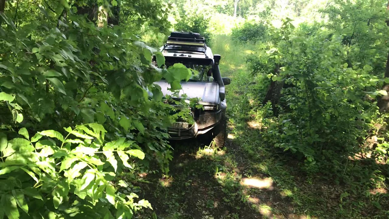 Гранд-чероки. Одёжка на прогулке - YouTube