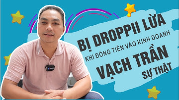 Đóng Tiền Vào Kinh Doanh Với Droppii Bị Lừa - Có Đúng Vậy Không?