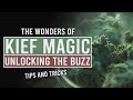 Unlocking the power of kief tips  tricks