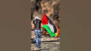 وعدُ الله حقٌّ ✨ تلاوة تهزّ القلوب | الشيخ ياسر الدوسري❤️‍🩹 | سورة الروم آية ٤ 💔#فلسطين ❤️‍🩹❤️‍🩹