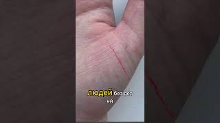 Линии детей - миф