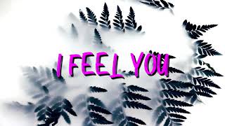 Shane - I Feel You (Official Audio)