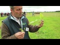 Beef 2016: Gary Fisher on reseeding